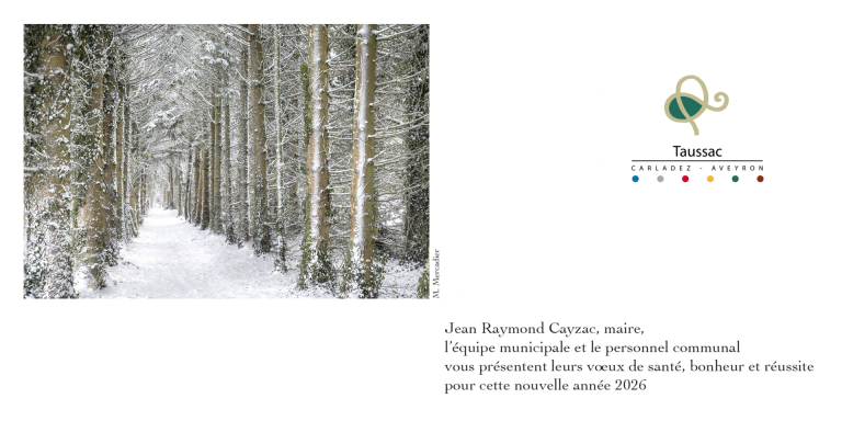 MEILLEURS VOEUX 2026